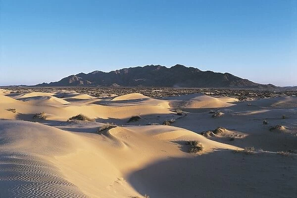 Mexico, Chihuahua Desert