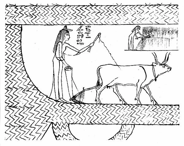 Nesitanebtashru ploughing and reaping. From The Greenfield Papyrus (funerary papyrus