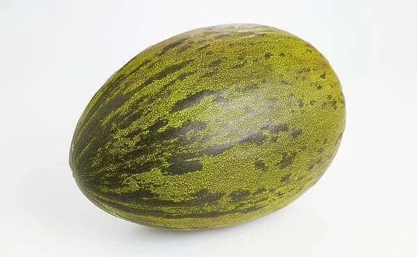 Piel de Sapo melon