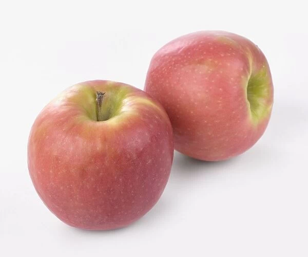 Two Pink Pearl apples