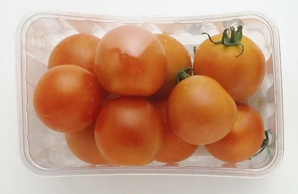 Small packaged tomatoes