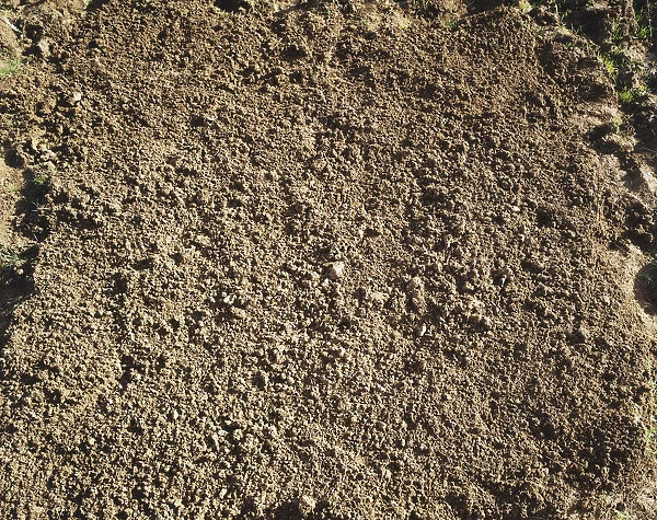Soil, close-up