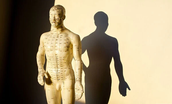 Acupuncture figure with shadow