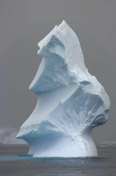 iceberg, Antarctic Peninsula