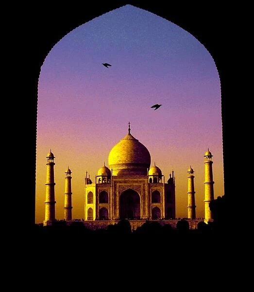 Taj Mahal. Birds flying over Taj Mahal at sunset, India