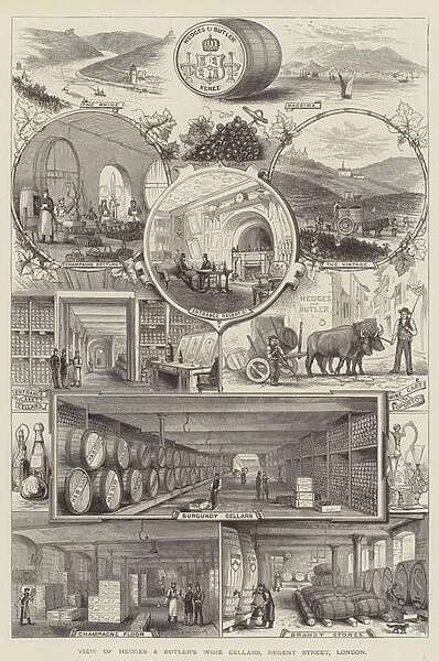 Advertisement, Hedges and Butler (engraving)