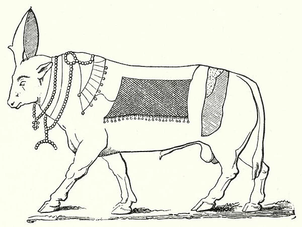 Apis, sacred bull of Ancient Egypt (engraving)