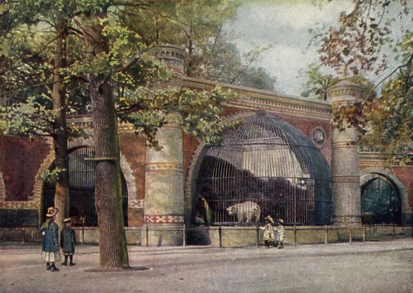 Bear enclosure, Berlin Zoological Garden, Germany (colour litho)