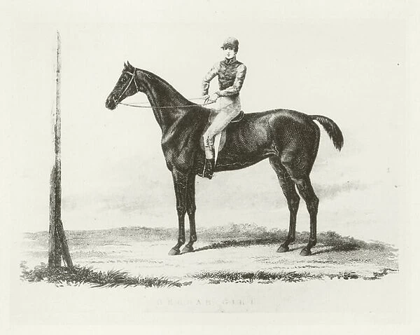 Beggar Girl, foaled 1815 (b  /  w photo)