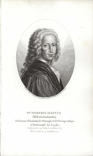 Bernhard Siegfried Albinus (engraving)