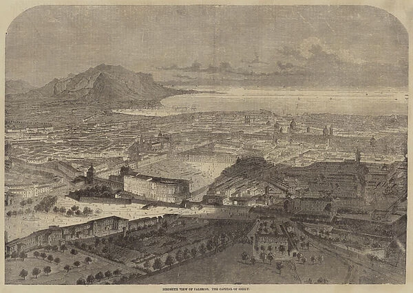 Birdseye View of Palermo, the Capital of Sicily (engraving)