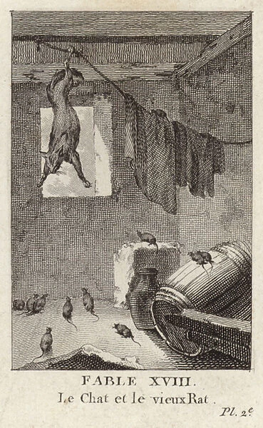 The cat and the old rat (engraving)