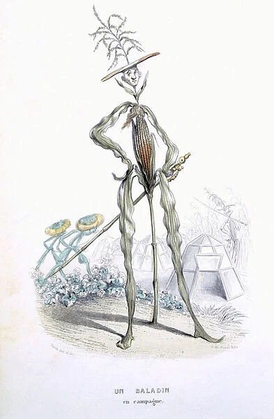 A Country Stroller, from L Empire des Legumes, Memoires de Curcurbitus