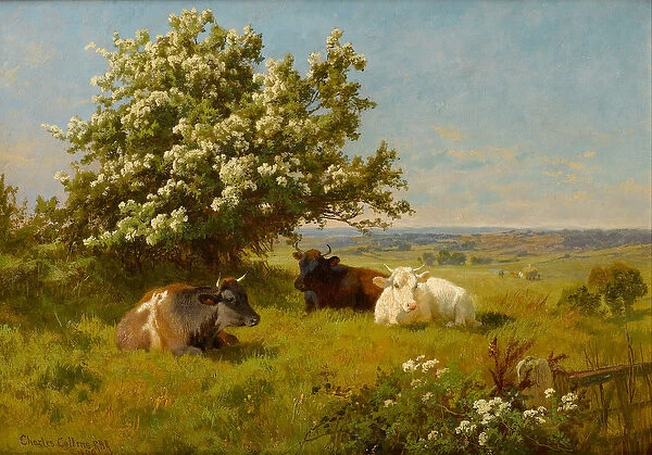 Cows in a Meadow, 1899 (oil on canvas)