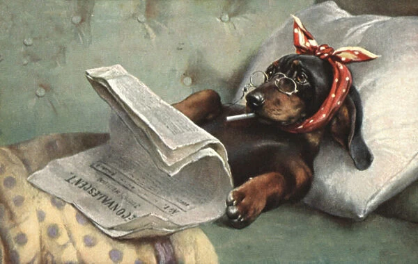 Dog reading a newspaper (colour litho)