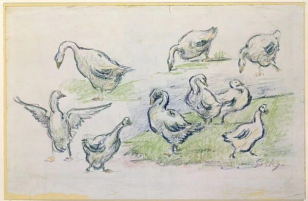 Ducks (crayon)