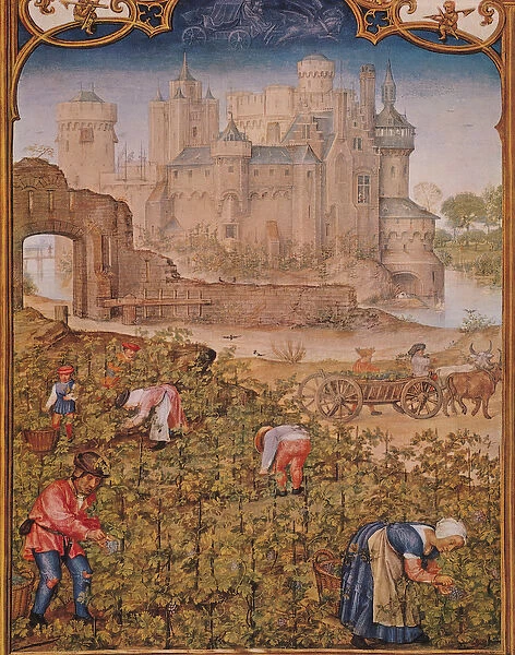 Fol. 9v The Month of September: The Wine Harvest, from Breviarium Grimani, c