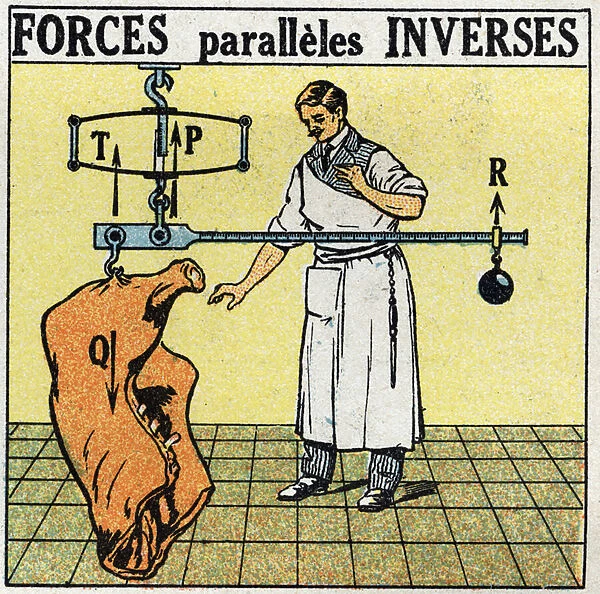 Forces: reverse parallel forces. A butcher weighing a meat carcass with a Roman scale