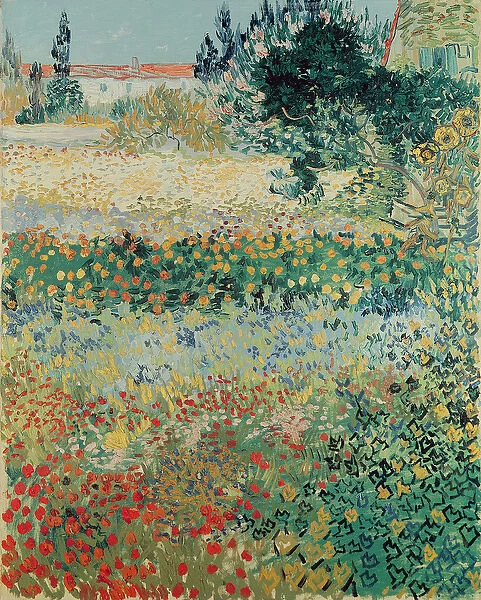 Garden in Bloom, Arles, July 1888 (oil on canvas)