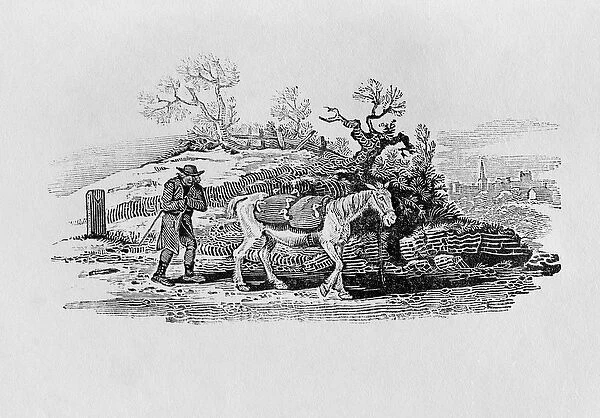 Geese carried to market from History of British Birds and Quadrupeds (engraving)