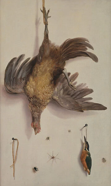 A Hen and a Kingfisher Hanging on a String (oil on canvas)
