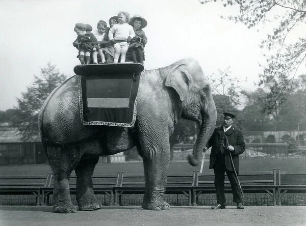 An Indian Elephant, with keeper, taking small children for a ride at London Zoo, c