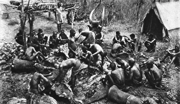 Killed for meat rations for our Rhodesian native troops
