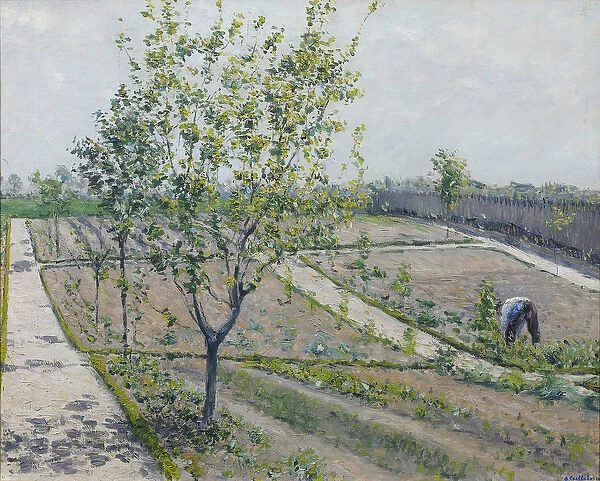 Kitchen Garden, Petit Gennevilliers - Gustave Caillebotte (1848-1894)