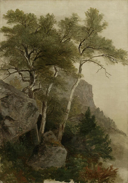 Landscape, 1855 (oil on canvas)
