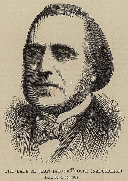 The Late M Jean Jacques Coste, Naturalist (engraving)