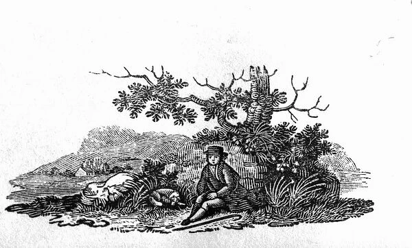 Man Seated by a Stunted Tree from History of British Birds and Quadrupeds