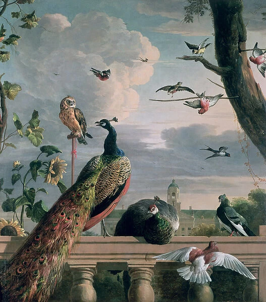 Palace of Amsterdam with Exotic Birds