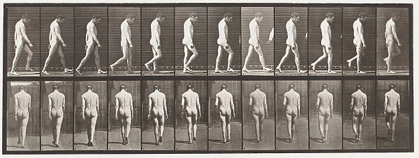 Plate 549. Epilepsy; Walking, 1885 (collotype on paper)