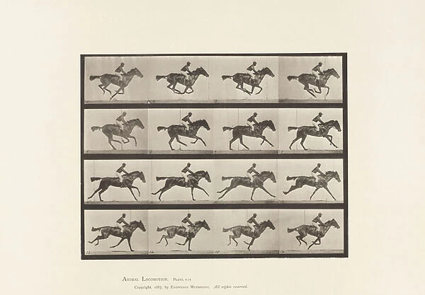 Plate 626. Gallop; Thoroughbred Bay Mare Annie G. 1885 (collotype on paper)