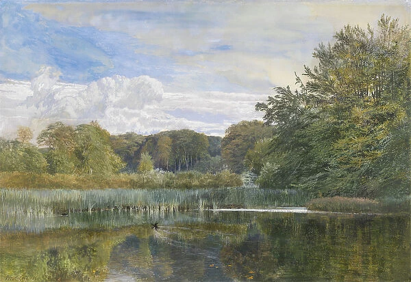 The Mill Pond, Evelyn Woods, 1860 (w  /  c on paper)