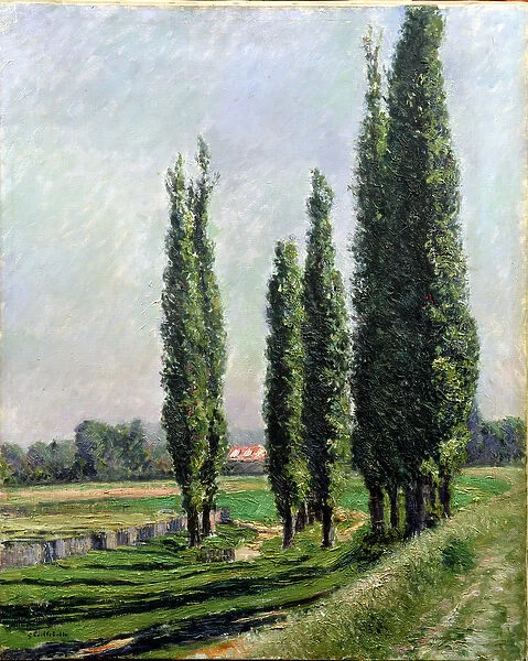 Poplars on the Riverbank at Argenteuil (oil on canvas)