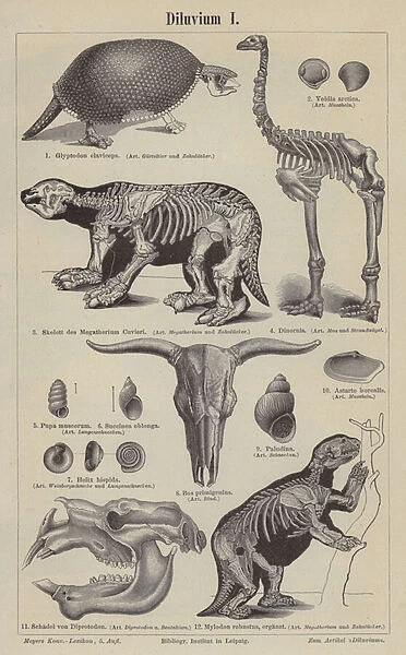 Prehistoric animals (engraving)