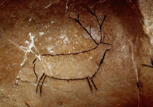 Prehistory : a deer. Upper paleolithic cave painting (Magdalenian) (16, 500 and 14