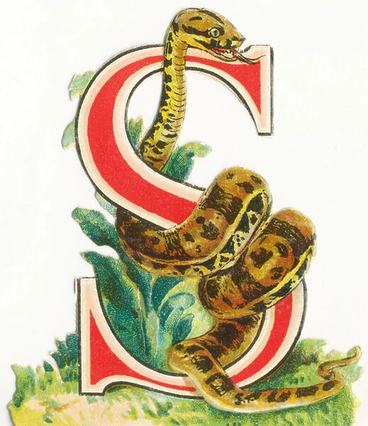 S: Snake. 6346598 S: Snake by Unknown Artist, (19th century); 7x6 cm; (add.info.