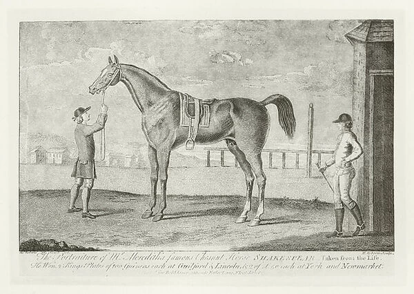 Shakespeare, foaled 1745 (b  /  w photo)