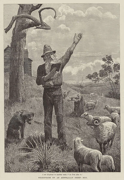 Shakspeare on an Australian Sheep-Run (engraving)