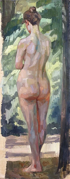 Standing Nude; Stehender Ruckenakt, 1898 (oil on board)