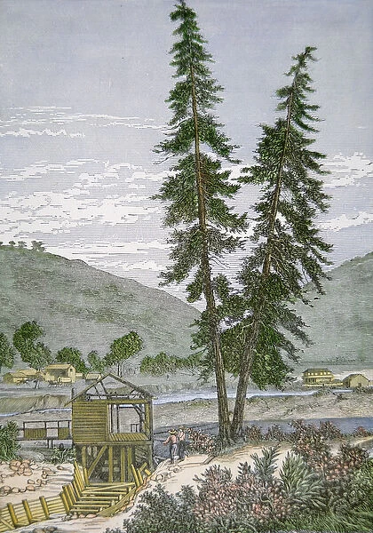 Sutters Mill, 1848 (coloured engraving)
