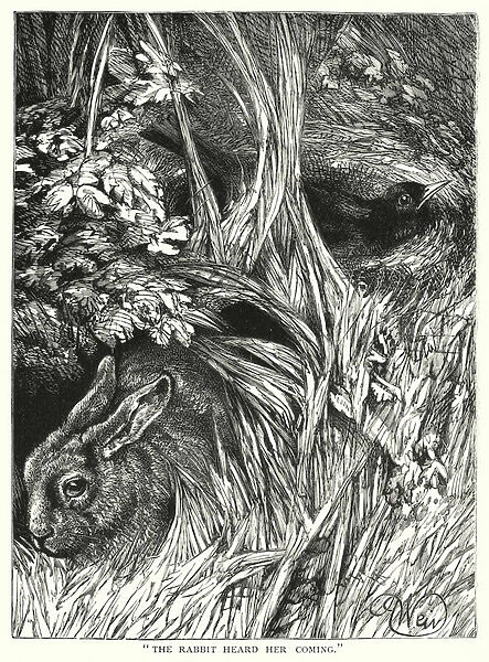 'The rabbit heard her coming'(engraving)