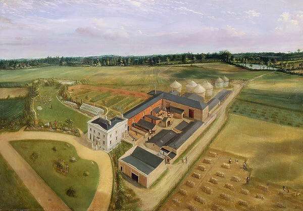 Tiptree Hall and Farm, Essex, c. 1850-60 (oil on canvas)