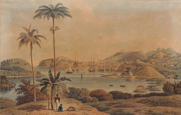 View of the town of St. George and Richmond Heights in the Island of Grenada