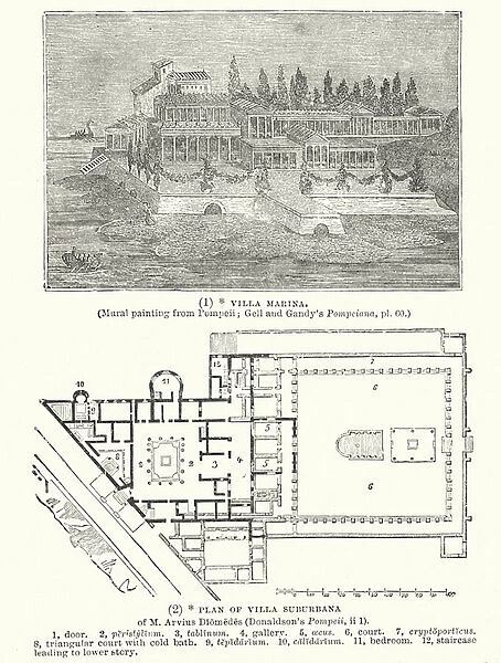 Villa Marina; Plan of Villa Suburbana (engraving)