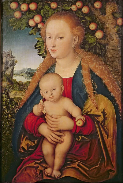 The Virgin and Child under an Apple Tree, 1520-26 (oil on canvas transferred