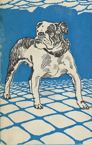 Drawings Prints, Print, Bulldog, Artist, Publisher, Moriz Jung, Wiener Werkstatte