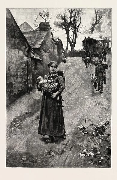 THEIR EVER-SHIFTING HOME, 1888 engraving